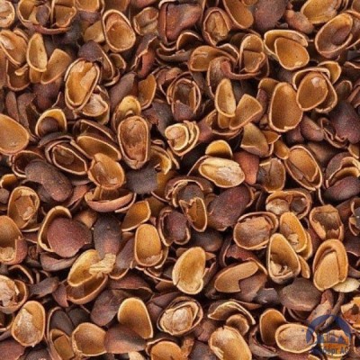 Скорлупа Кедрового Ореха (Barus Nut Shell) купить  в Южно-Сахалинске